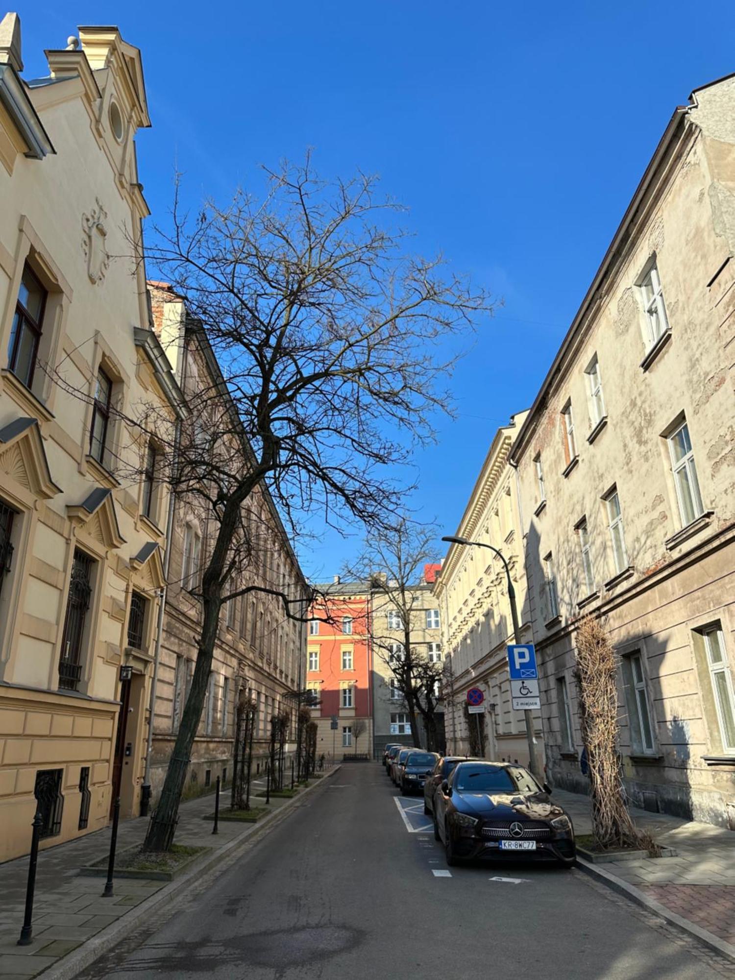 Perfect Place To Stay In Krakow City Center 18M2 W5 Eksteriør bilde
